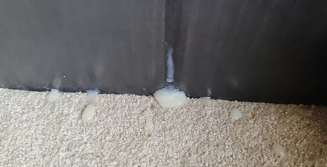 Amadeus: Masa memberi makan, siapa yang lapar!!