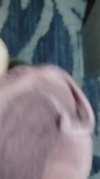 Cum in Mother-in-law's Panties