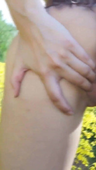 Pole Colza