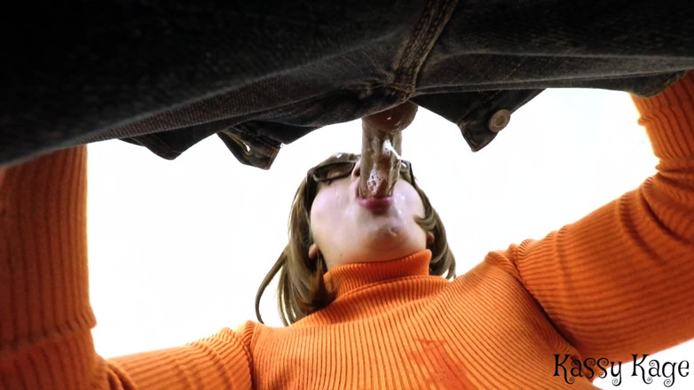 VickyVixen: Velma Sucks at Negotiating