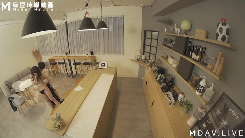 ModelMedia Asia: MDWP-0019 एडल्टरी कैफे/नई दृश्यरतिक श्रृंखला
