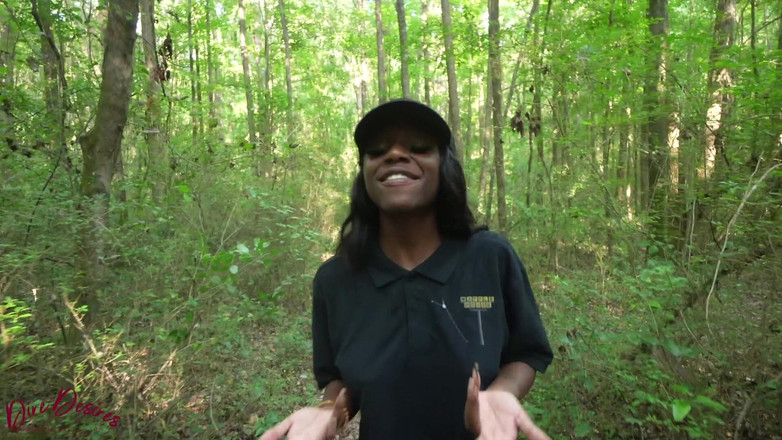 Dire Desires: Chica de la casa de waffle