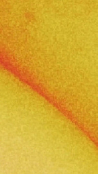 Orange sexig rumpa dröm