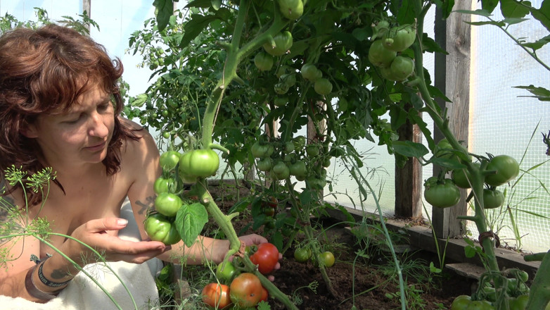 Hera Harding: Country milf se masturba para fazer os tomates corarem