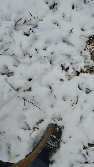 Bayer911: Koláč venku v zimě v bílém ...