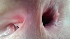 When I Gape, the Studio Smell