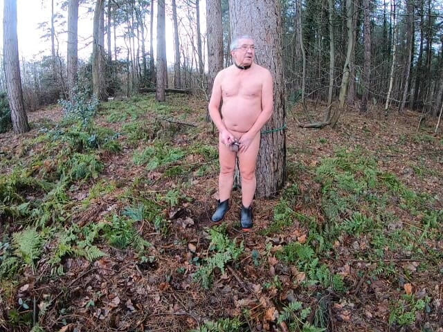 Andy: Ділдо в лісі 3