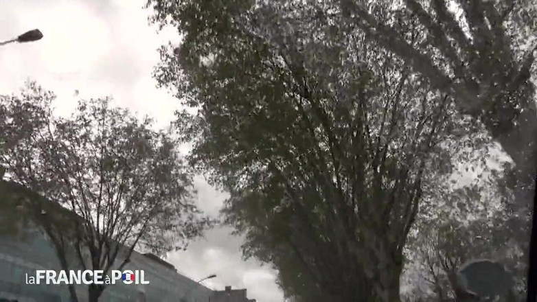 French Gonzo: Horny Young Slut Gets Dirty Ride From Cabby