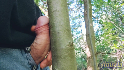 Amreis: La prima sega autunnale nella foresta. C'è stato poco tempo,...