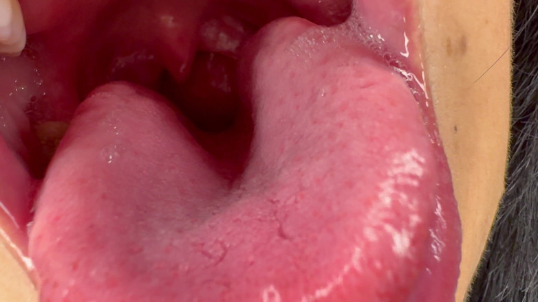 Asmr_mouth: Let Me Show You Where Tiny Pets Goes