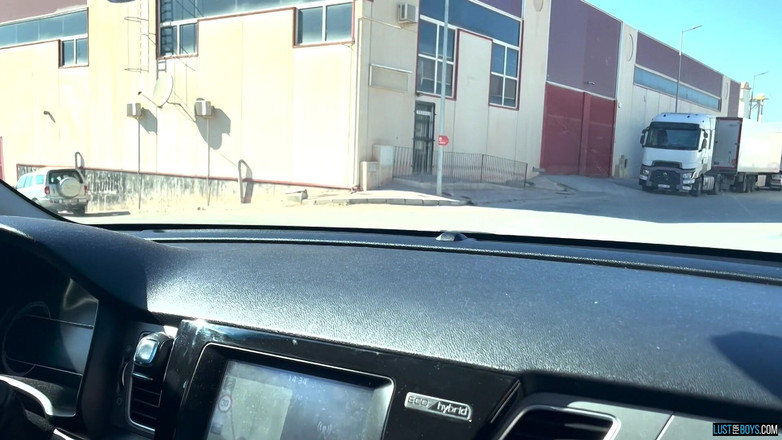 Lust for boys: 疯狂鸡巴的男孩在户外被缠身 - 第1部分