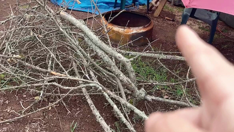 sweethanajapanese: पीछे से मूतती चूत अद्भुत दृश्य