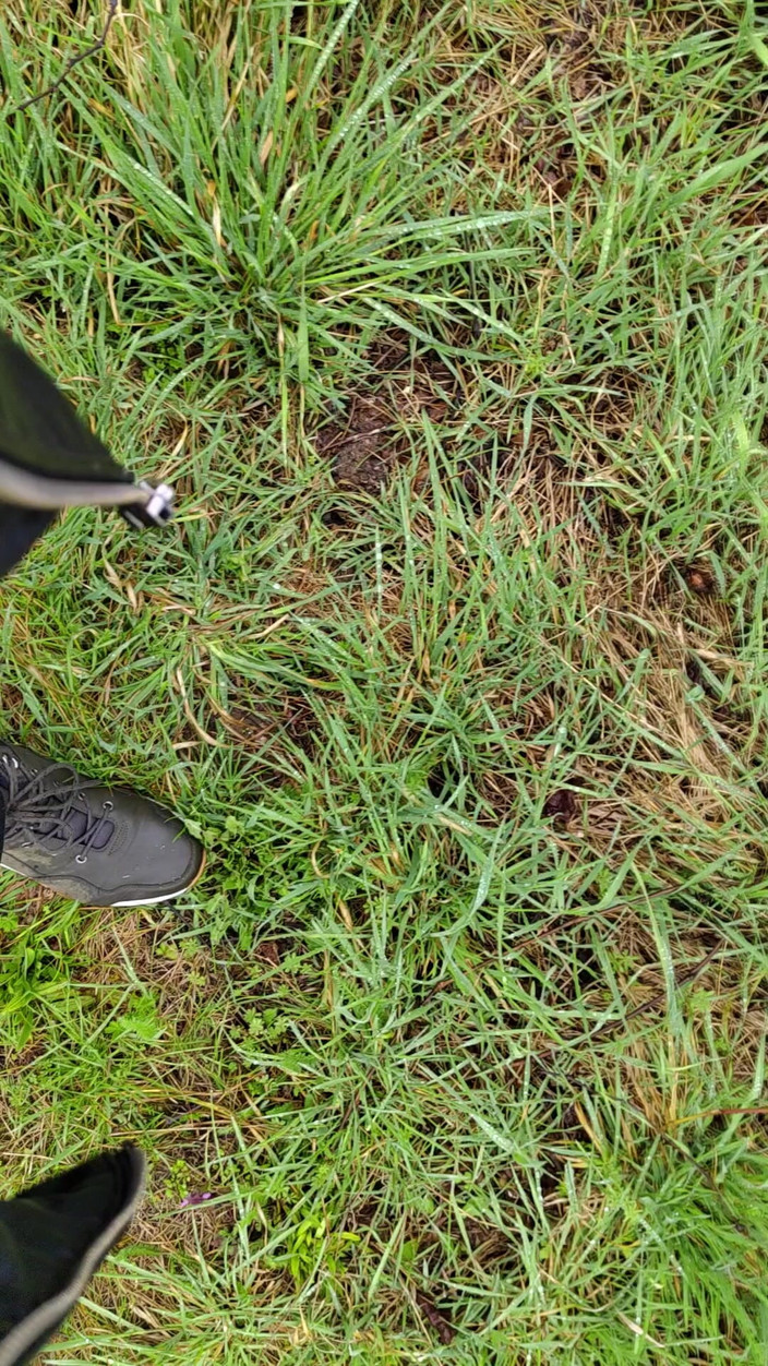 Bayer911: Kencing di luar ruangan saat hujan