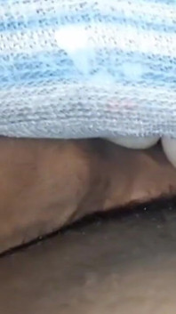 Papai quer quebrar você em estilo cachorro como este brinquedo