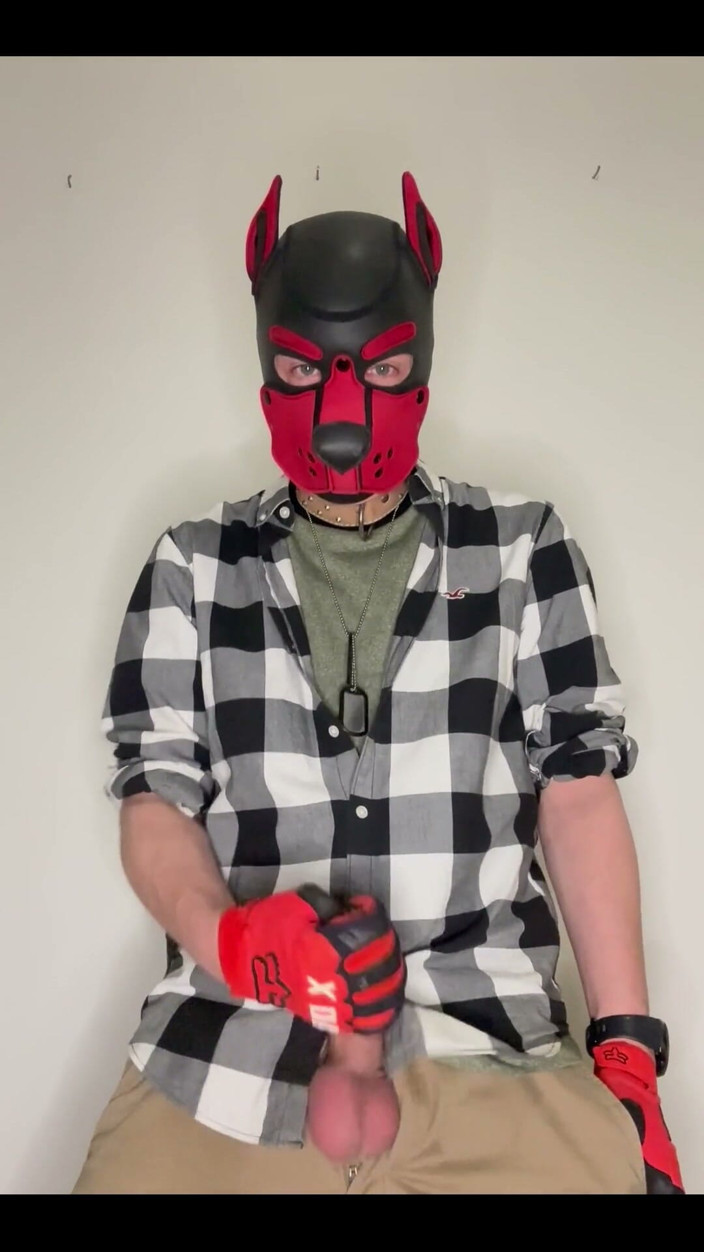 AndreDox: Hello