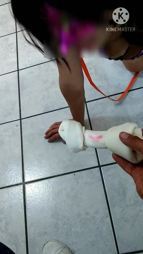 Traviezisha: Entrenamiento de mariquita (jugando a buscar con la perra mariquita)