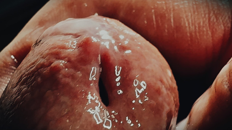 Leonardo-1974: Schläfriger schwanz wird masturbiert und abspritzen