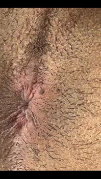 Do You Like My Ass?
