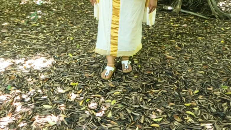Anne Ipe: Kerala styl Tradiční sada Mundu, dívka se nahá venku vystavuje...