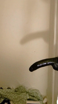 Whiteboi with Cute Round Ass Pushing Back Against Huge BBC Dildo
