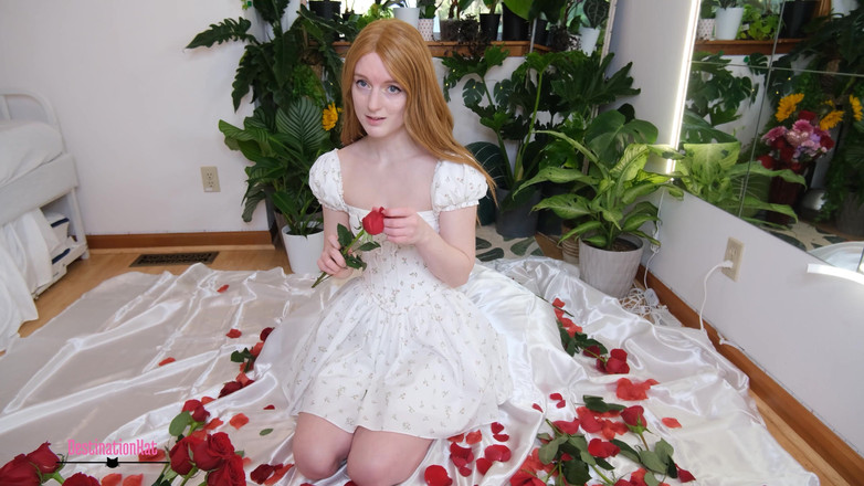 Destination Kat: Keluar dari Liga Awak