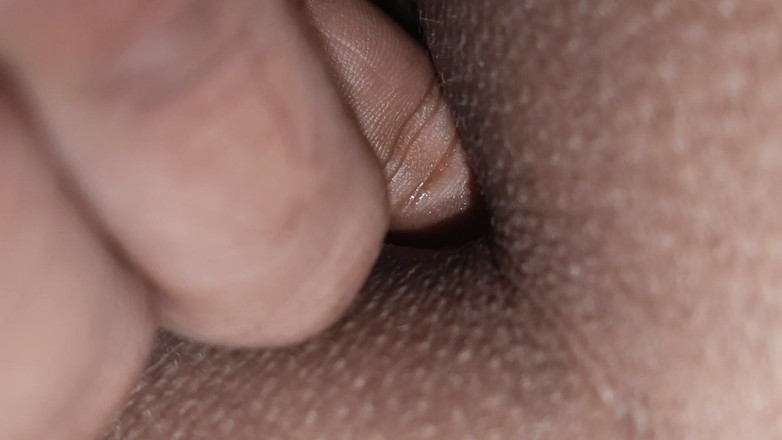 SardonicShower2: ハスナバード