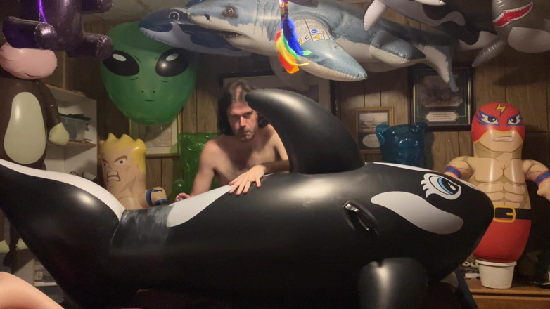 BMBFT non pop: Btf Orca