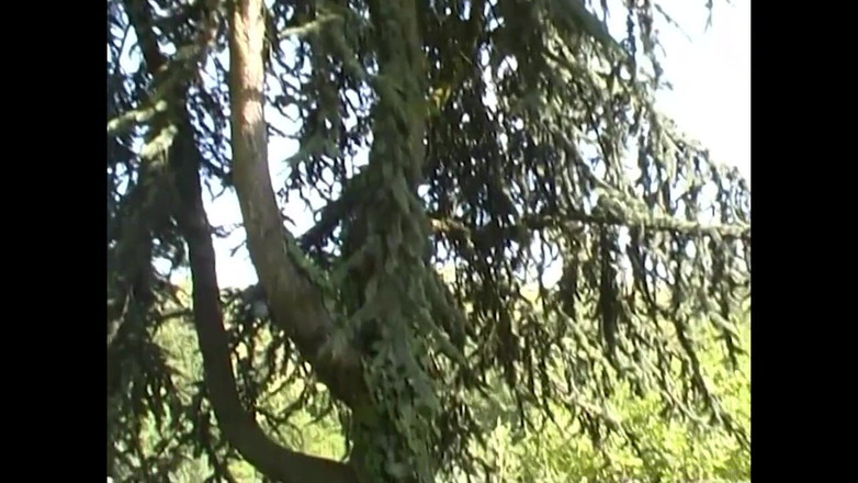 NASTY AMATEUR - Pornstar for a day: 彼らの男の子たち