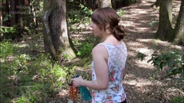 Profundo boquete na floresta com padrasto