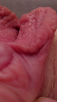 I Pull the Hood off My Clit and Show It to You up Close