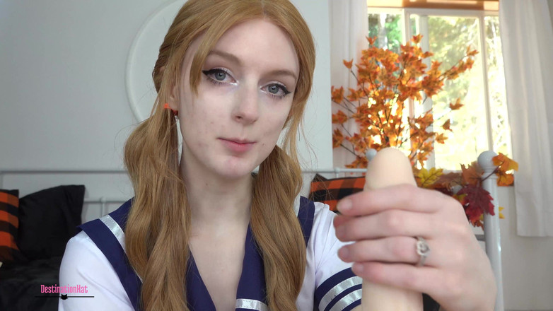 Destination Kat: Schnüffeln und kommen