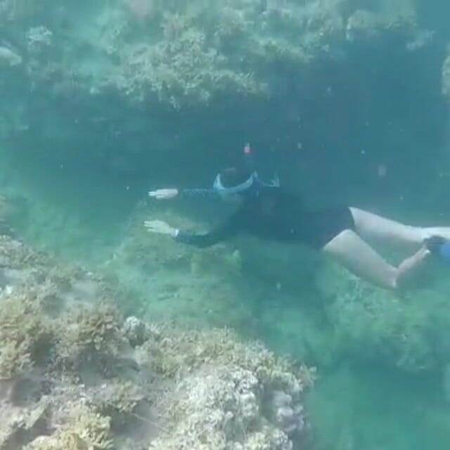 creamberryfairy: Ima Mermaid