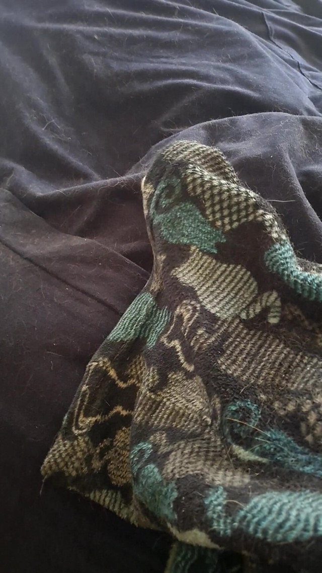 Fall Time Fuzzy Comfort (Naughty alchemy) Fall Time Fuzzy Comfort (Naughty alchemy)