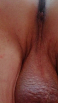Vid_20241117_091333