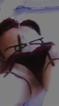 脱衣舞女正在自慰