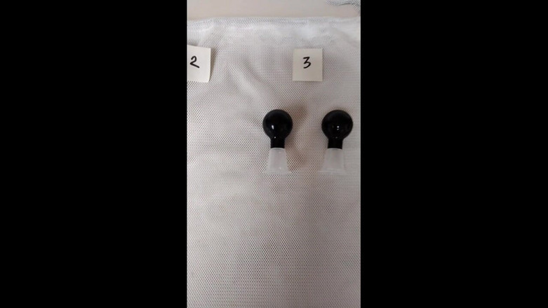 BonusholeToy: Ftm tiền thưởng đồ chơi, bộ sưu tập đồ chơi của tôi