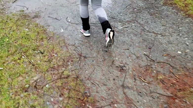 Nerdy_faery: 濡れた靴下と小便をびしょ濡れにする