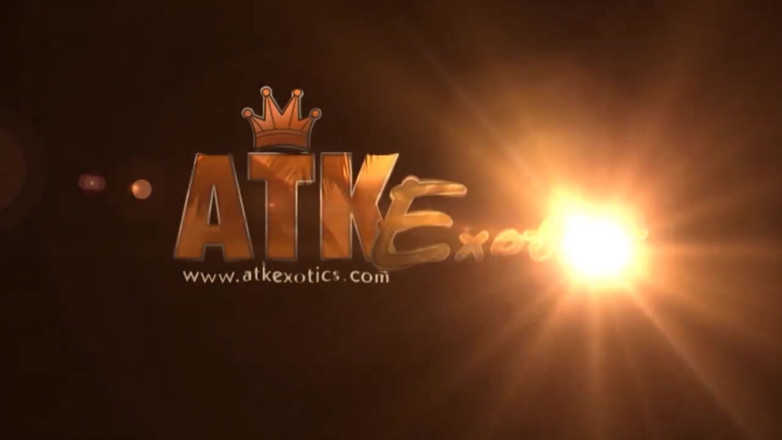 ATK Fans (Exotics): 자