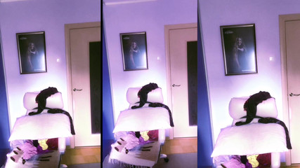 FinDom Goaldigger: Asmr kırmızı ruj ve mini pasta yeme