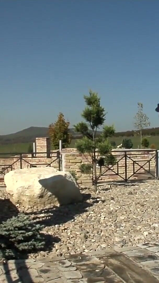 Georgiana, Titus Steel, Reinhard, Mugur, Sunny Green, EURO Blowbang from Romania