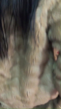Do You Want to Play with This Fur-coat?