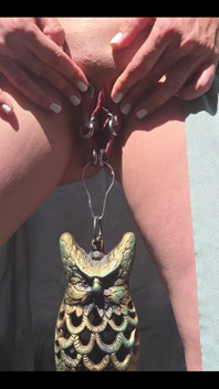 Who Lost the Bird