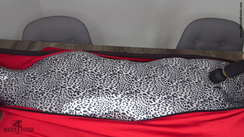 ZentaiDolls: My little fetish doll in zentai