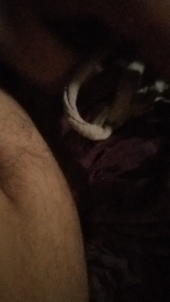 Alina studio: Vídeo pessoal diário