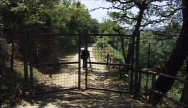 Girl on Girl: Curvele în lenjerie se fut reciproc în pat de lumânări