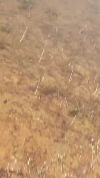 Indian couple sex at river side outdoor