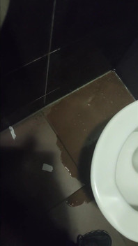 Pissing