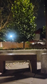 Soy una perra, vaquera al aire libre