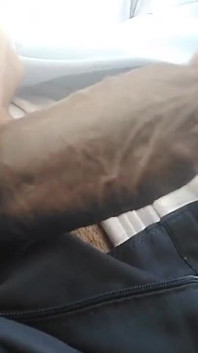 Strong Indian Cock