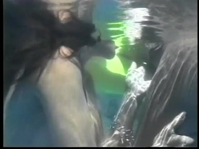 American Idol X: Lesbijki uwielbiają w basenie